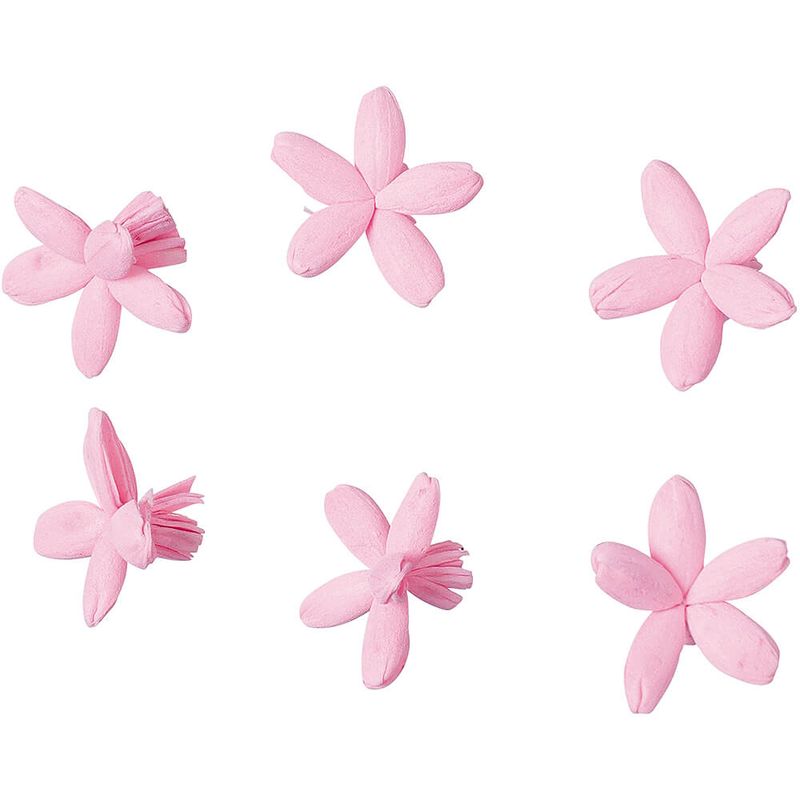 ѡĥХ 6PMCY-0561ڥɥ饤ե