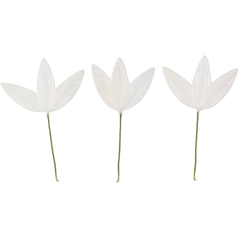 ѡĥΥS ९3PMCY-0563ڥɥ饤ե