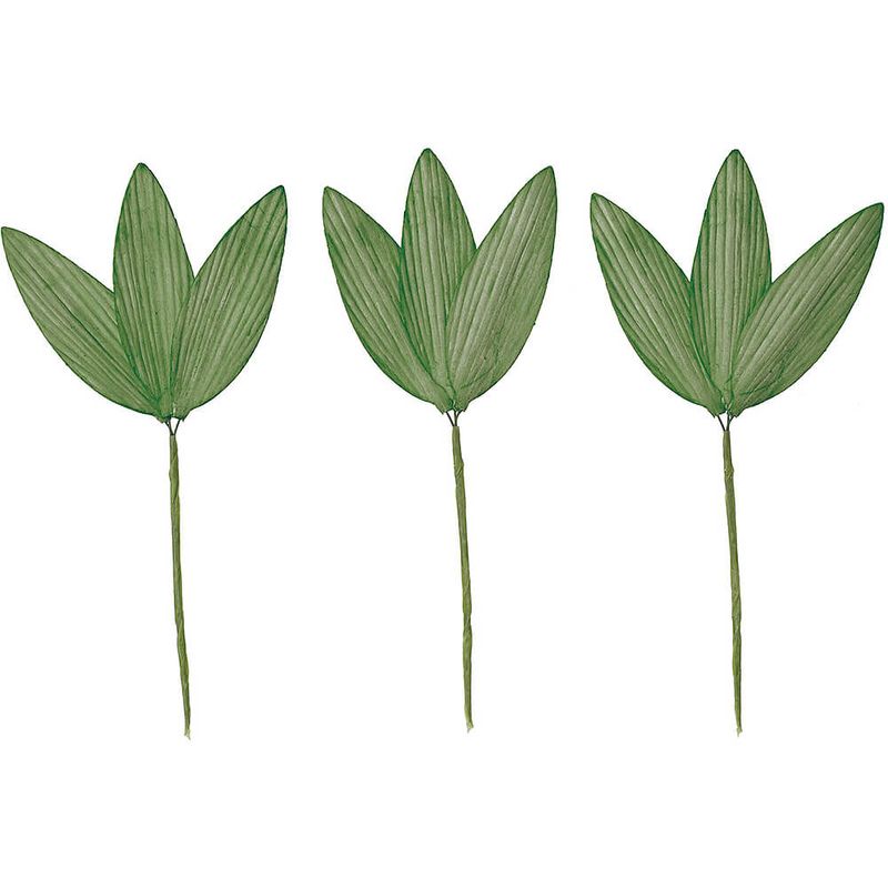 ѡĥΥS ߥɥ3PMCY-0564ڥɥ饤ե