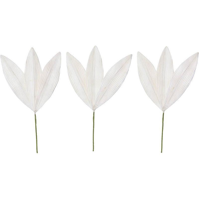 ѡĥΥM ९3PMCY-0565ڥɥ饤ե