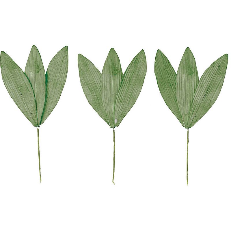 ����ѡ��ĥ����Υ�M �ߥɥ�3P��MCY-0566�ڥɥ饤�ե���