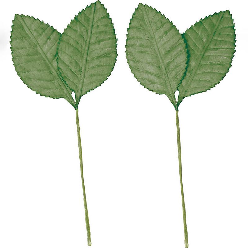 ����ѡ��ĥĥХ��Υ� �ߥɥ�2P��MCY-0568�ڥɥ饤�ե���