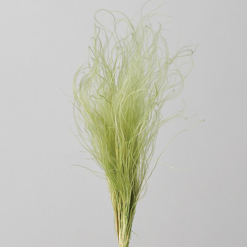 �ե��������饹/���ꥢ���꡼��DRO01470-721�ڥɥ饤�ե���