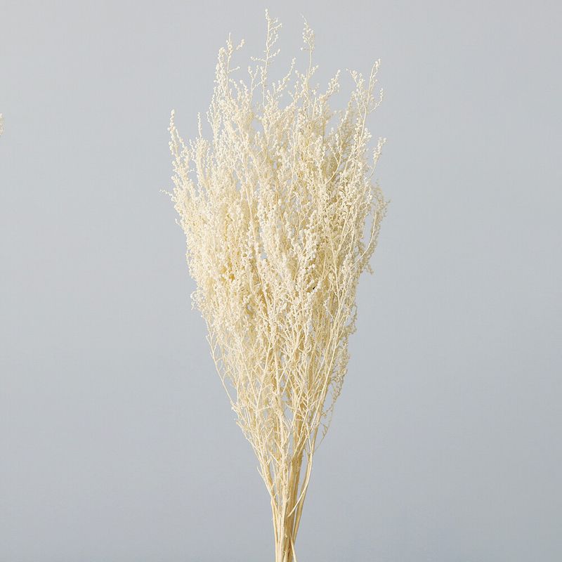 ���ȡ��١����եۥ磻�ȡ�DRO01760-011�ڥɥ饤�ե���