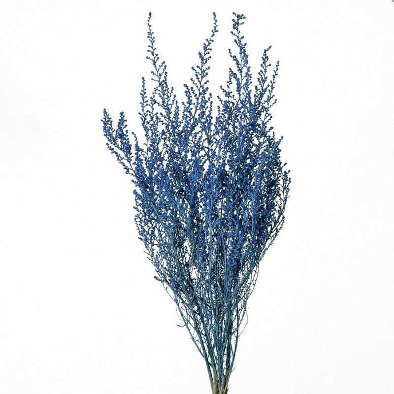 ���ȡ��١��ѥ������֥롼��DRO01760-602�ڥɥ饤�ե���