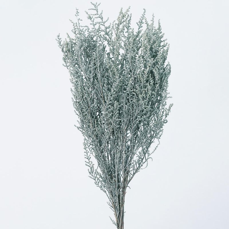 ���ȡ��١������å����٥������DRO01760-412�ڥɥ饤�ե���