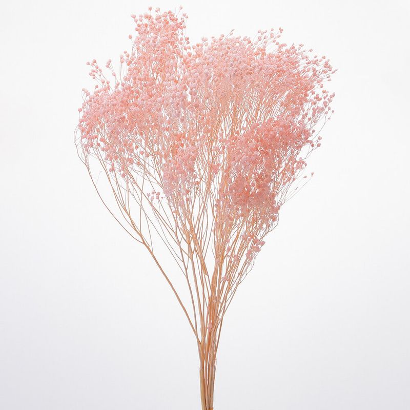 ��꥽�˥� �ԥ󥯡�DRO03300-101�ڥɥ饤�ե���