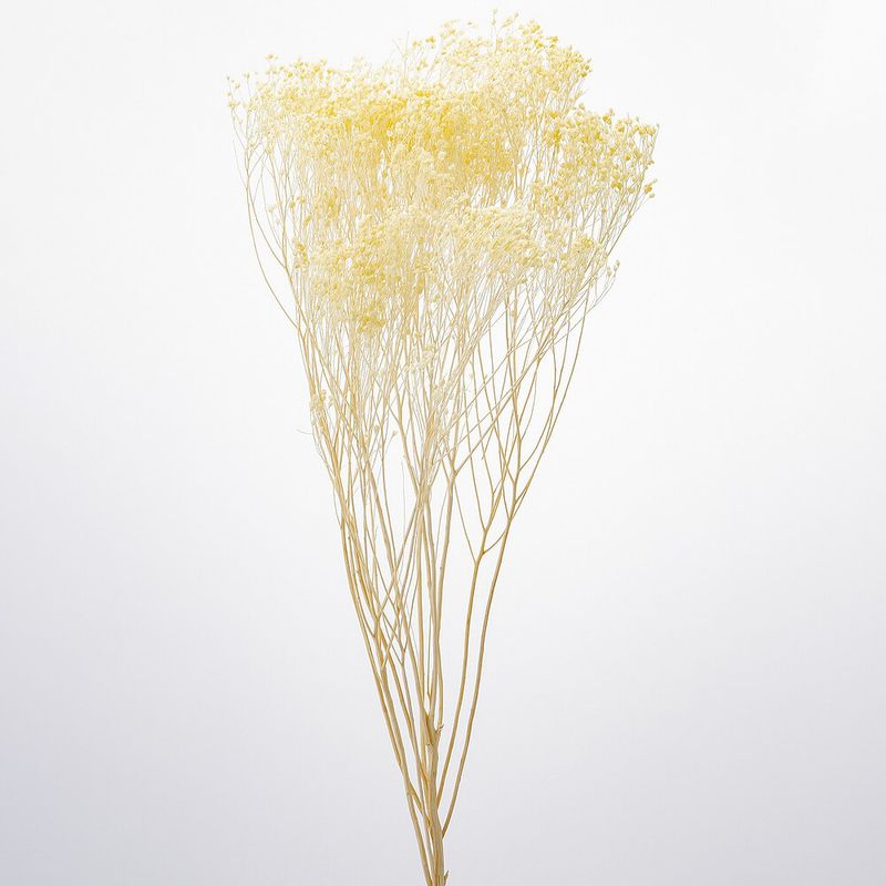 ��꥽�˥� ���󥸥��륤��������DRO03300-541�ڥɥ饤�ե���