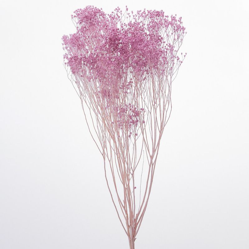 ��꥽�˥� ���󥸥���ѡ��ץ롡DRO03300-451�ڥɥ饤�ե���