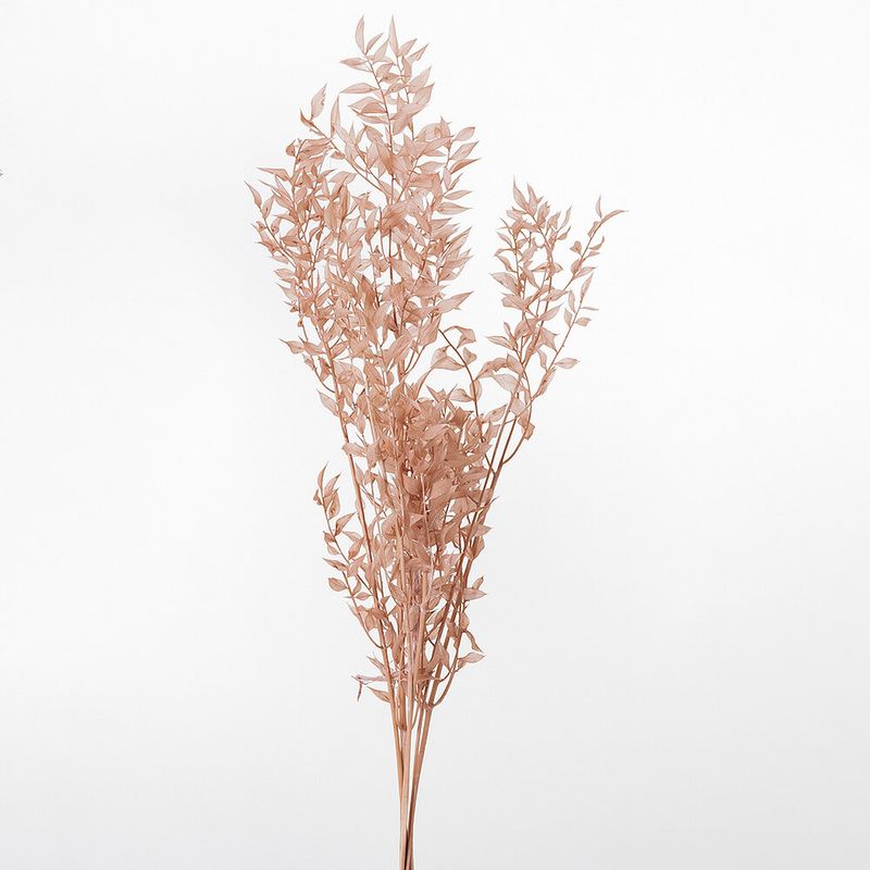 �饹�������ץꥶ���֥� �ԥ󥯥١����塡DRO03560-081�ڥɥ饤�ե���