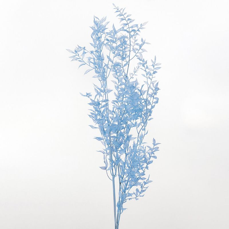 �饹�������ץꥶ���֥� �٥ӡ��֥롼��DRO03560-621�ڥɥ饤�ե���