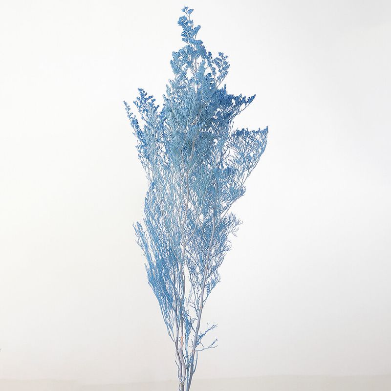 �����ԥ� �����������֥롼��DRO03710-691�ڥɥ饤�ե���