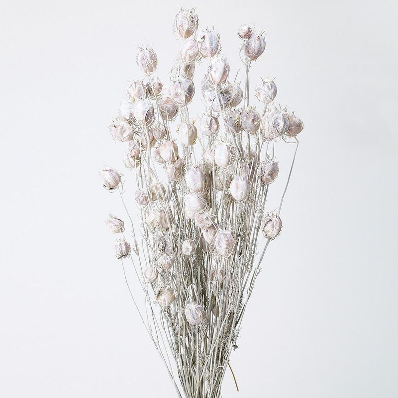 �ա�����ݥԡ� �����å���ۥ磻�ȡ�DRO10060A-012�ڥɥ饤�ե���