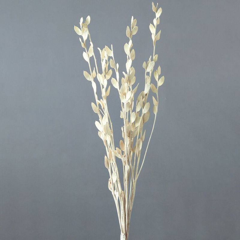 �ե��ӥ��� ���եۥ磻�ȡ�DRO10160-012�ڥɥ饤�ե���