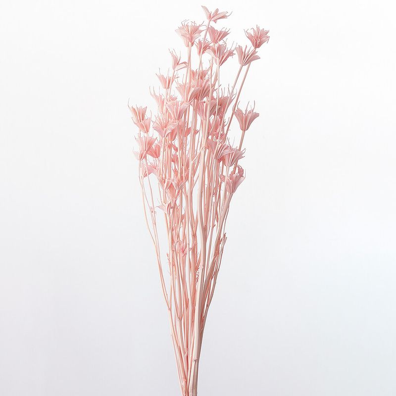 �˥��饪�ꥨ�󥿥ꥹ ���륭���ԥ󥯡�DRO10380-161�ڥɥ饤�ե���