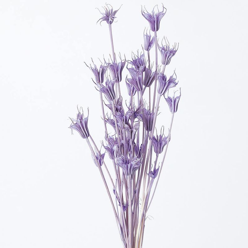 ドライフラワー通販｜GREEN PIECE