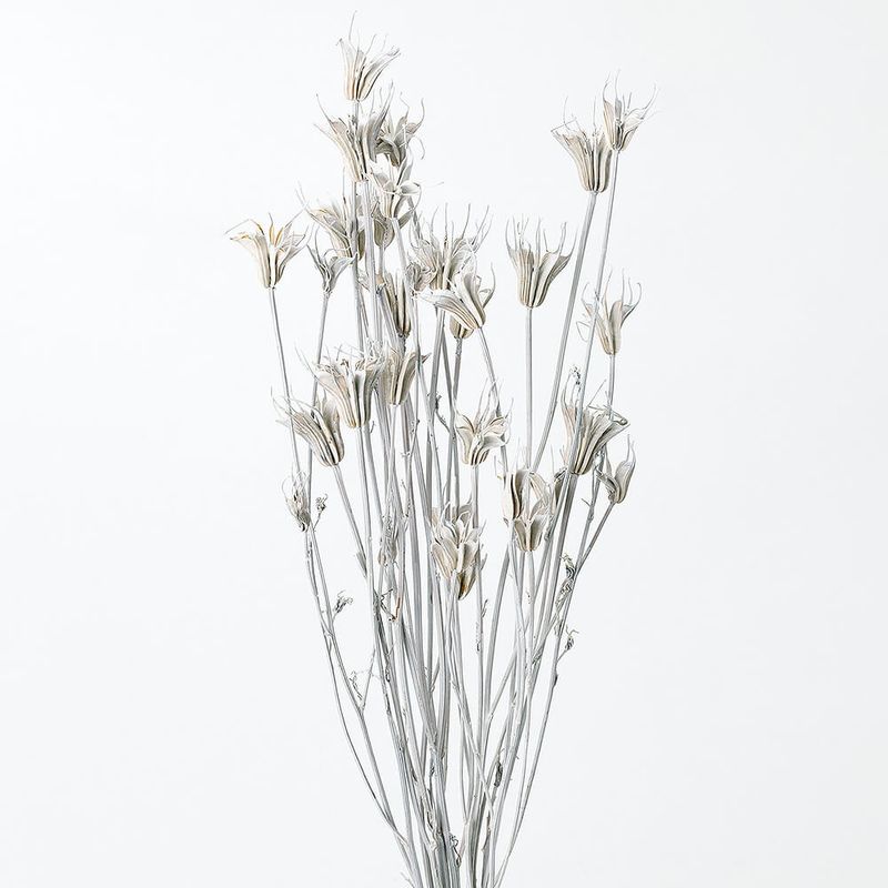 �˥��饪�ꥨ�󥿥ꥹ �����å���ۥ磻�ȡ�DRO10380-012�ڥɥ饤�ե���