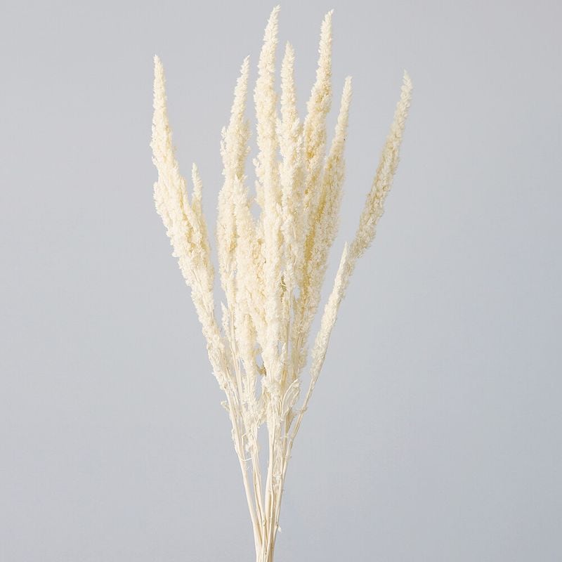 Whitish通販｜GREEN PIECE