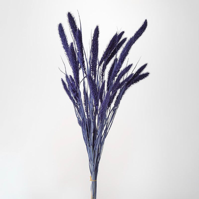 ドライフラワー通販｜GREEN PIECE