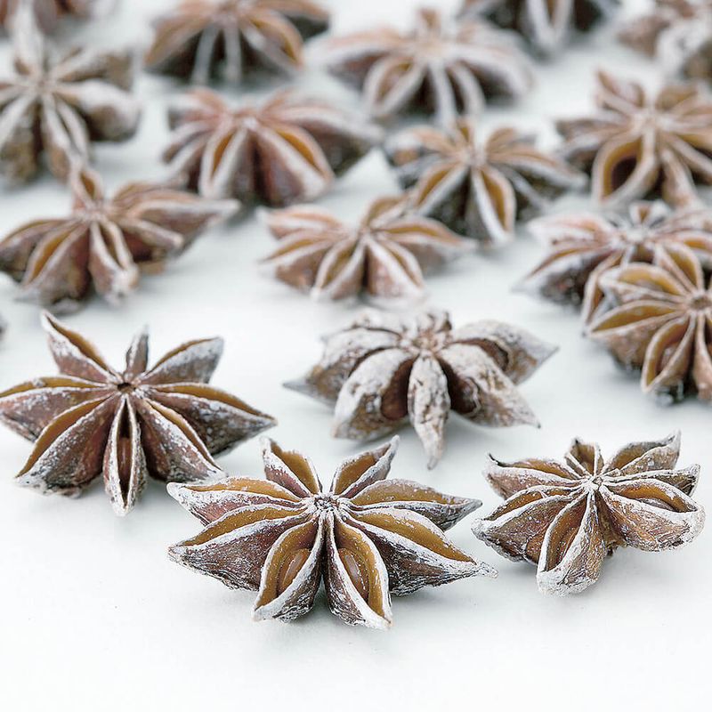 ���������˥� ���Ρ���DRO21020-982�ڥɥ饤�ե���