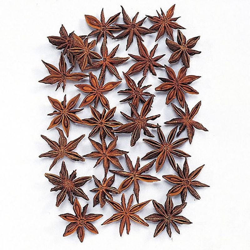 ���������˥� N��DRO21020-000�ڥɥ饤�ե���