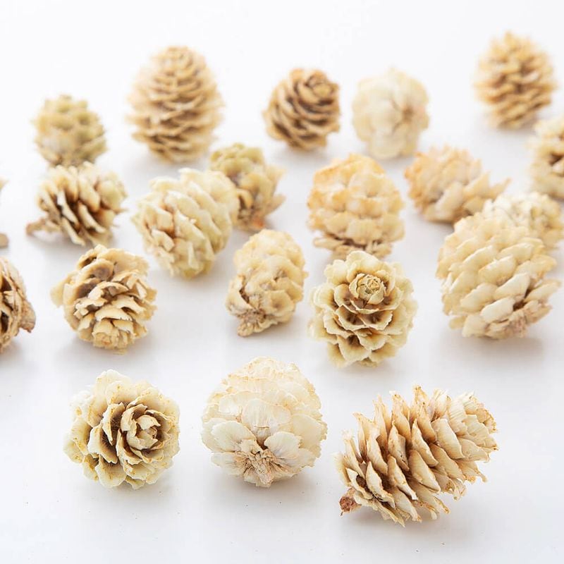 ���龾 �ʥ�����ۥ磻�ȡ�DRO24121-021�ڥɥ饤�ե���