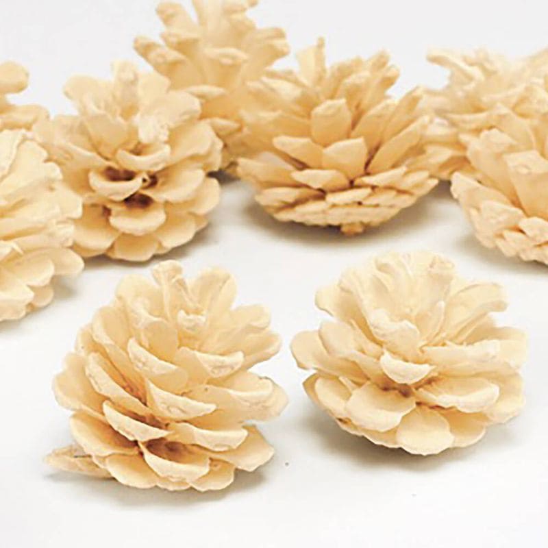 ���������������������� ���եۥ磻�ȡ�DRO24200-011�ڥɥ饤�ե���