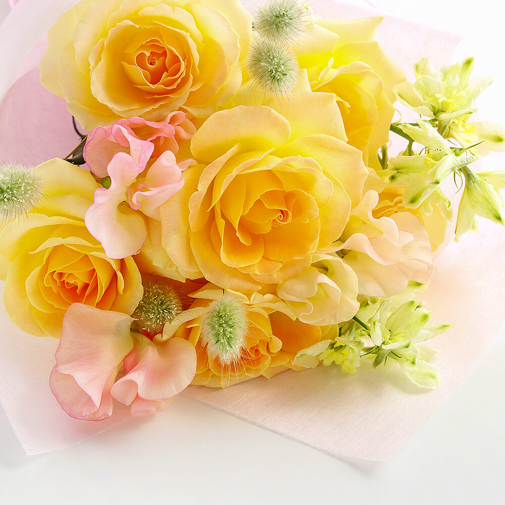 �ܤΤ��֤�����ء�7���������ڥ١����å���