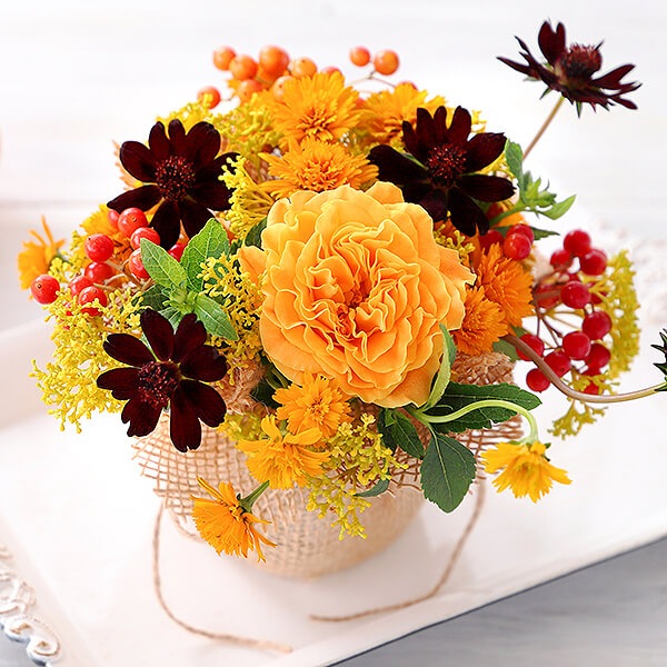 �ܤΤ��֤�����ء�7���������ڥ١����å���