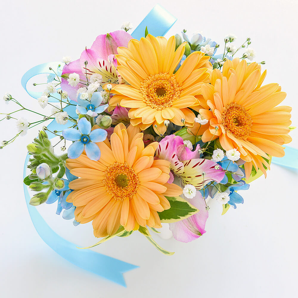 �ܤΤ��֤�����ء�7���������ڥ١����å���