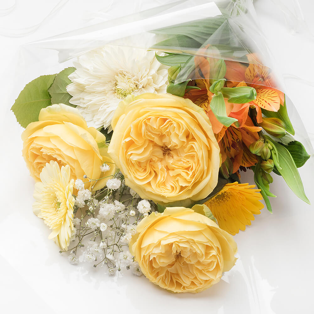 ���顼�֡�����Yellowish�����֡�