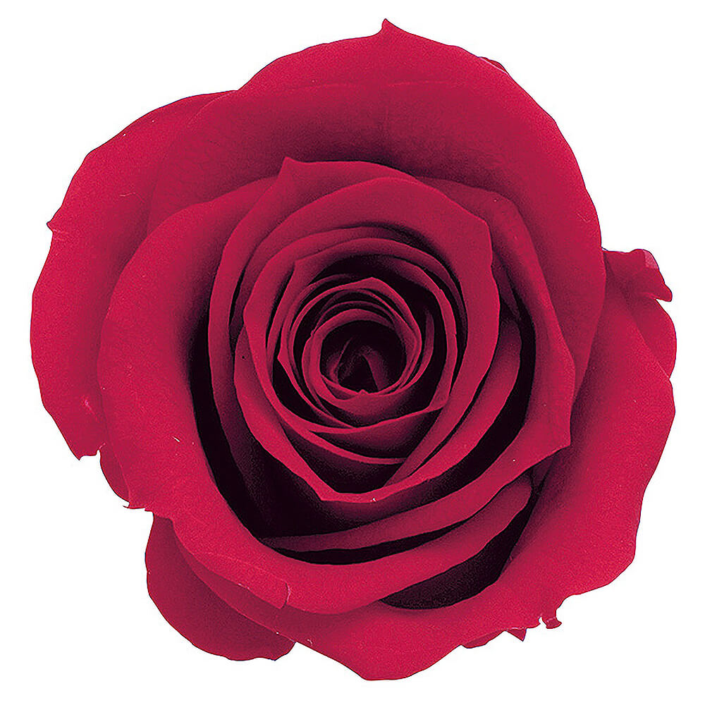 ߡåɡ9ءࡡDO003480-331ڥץꥶ֥ɥե