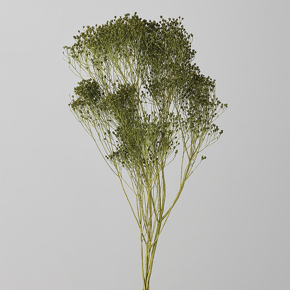 ��꥽�˥������ץ�󥰥��꡼��DRO03300-781�ڥɥ饤�ե���