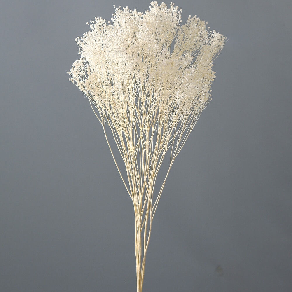 ��꥽�˥� ���եۥ磻�ȡ�DRO03300-011�ڥɥ饤�ե���