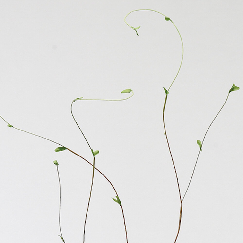 ミニリーフブランチ A-42849【造花】通販|GREEN PIECE ミニリーフブランチ A-42849【造花】通販|GREEN PIECE