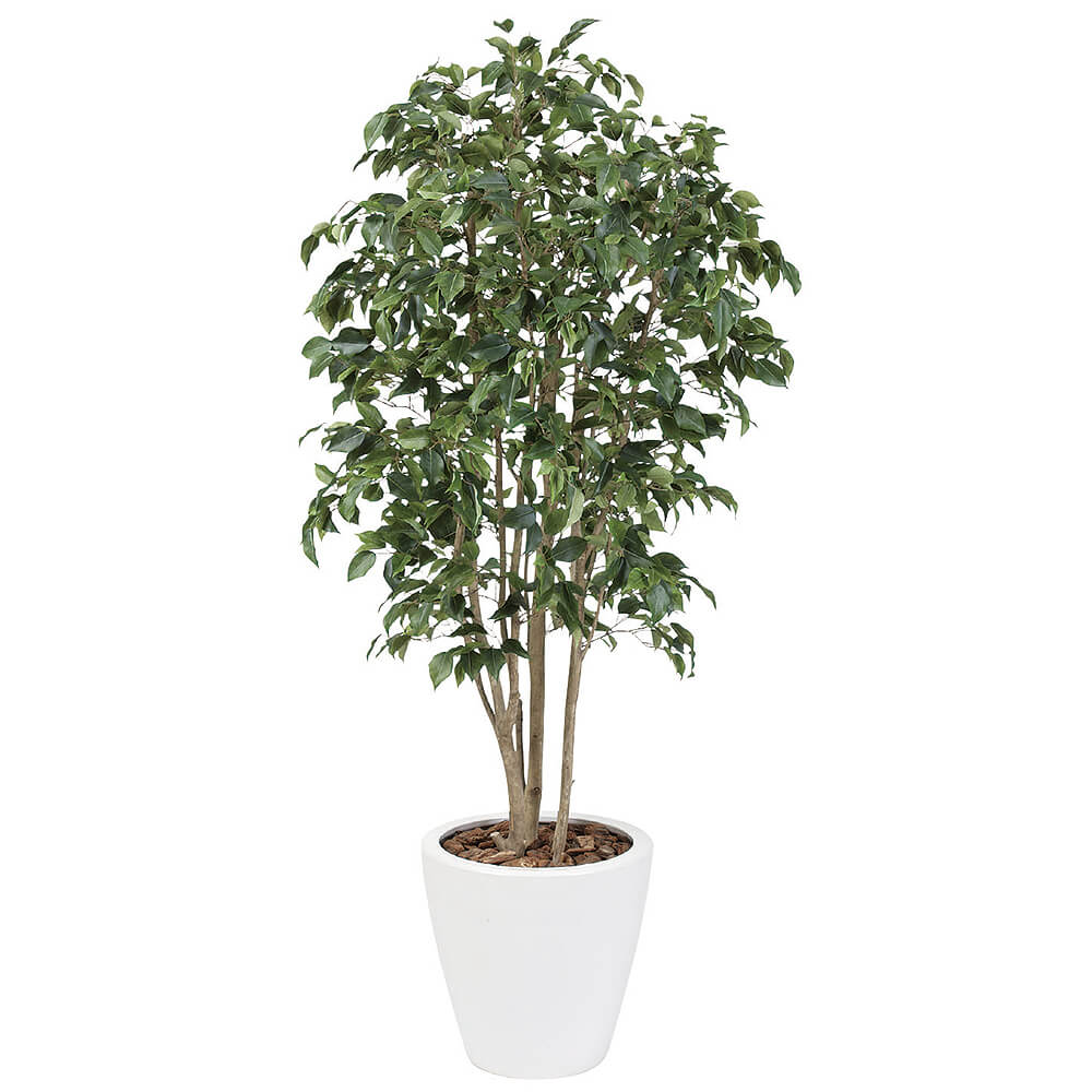 �٥󥸥�ߥ�H2100�ڥ����ƥ��ե�������