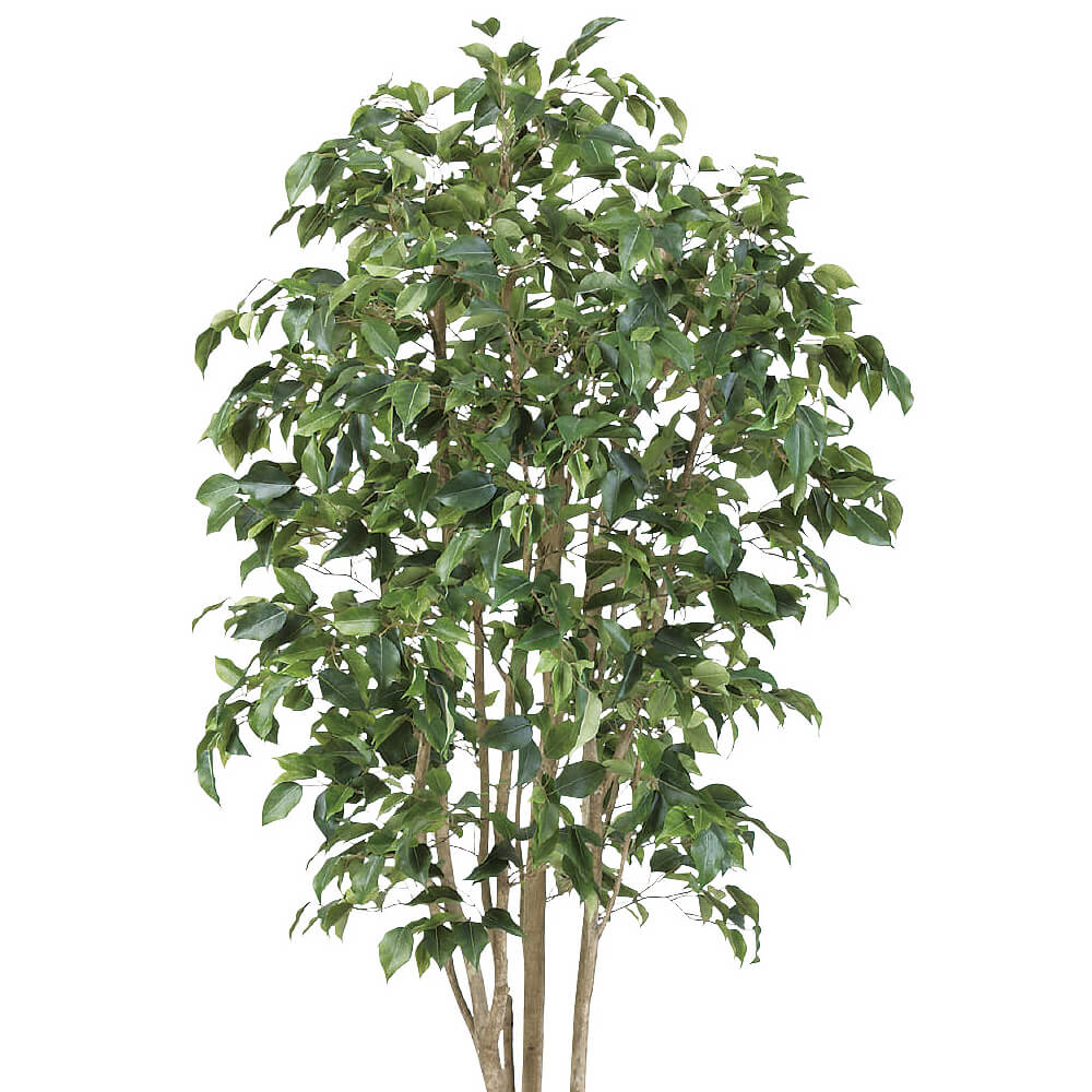 �٥󥸥�ߥ�H2100�ڥ����ƥ��ե�������