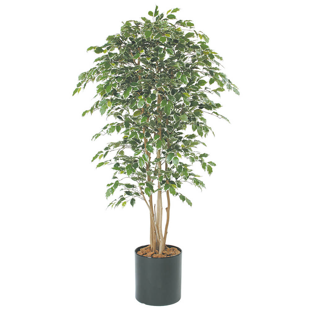 �٥󥸥�ߥ������ꡡH1500�ڥ����ƥ��ե�������