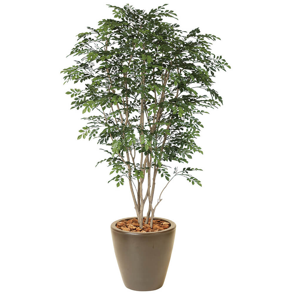 �ȥͥꥳ��H2100�ڥ����ƥ��ե�������