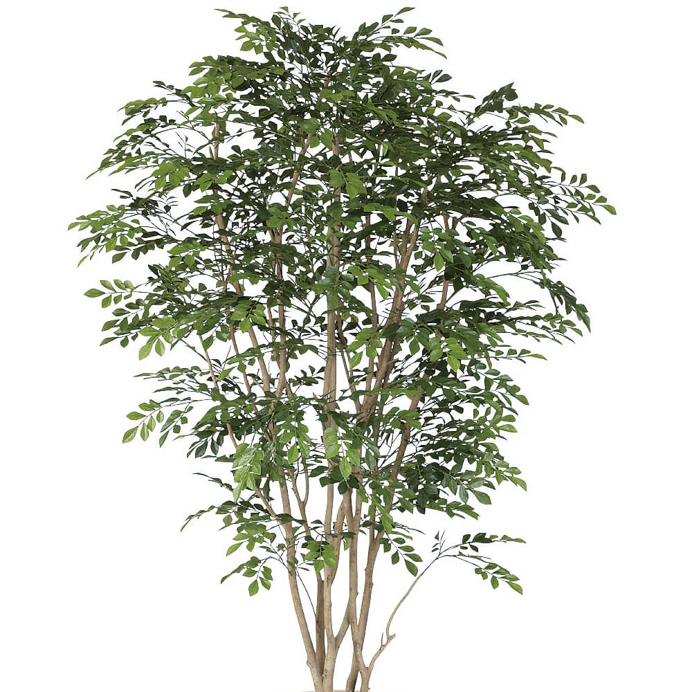 �ȥͥꥳ��H2100�ڥ����ƥ��ե�������