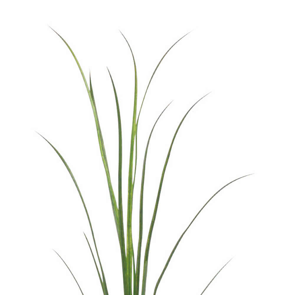 ����॰�饹�֥å���M��H1050�ڥ����ƥ��ե�������