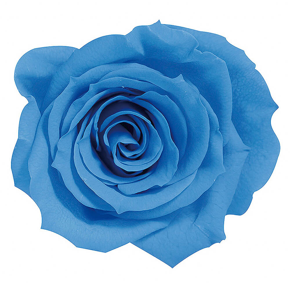 �������������ߡ��������֥롼��9�ء��������ࡡDO003480-651�ڥץꥶ���֥ɥե���