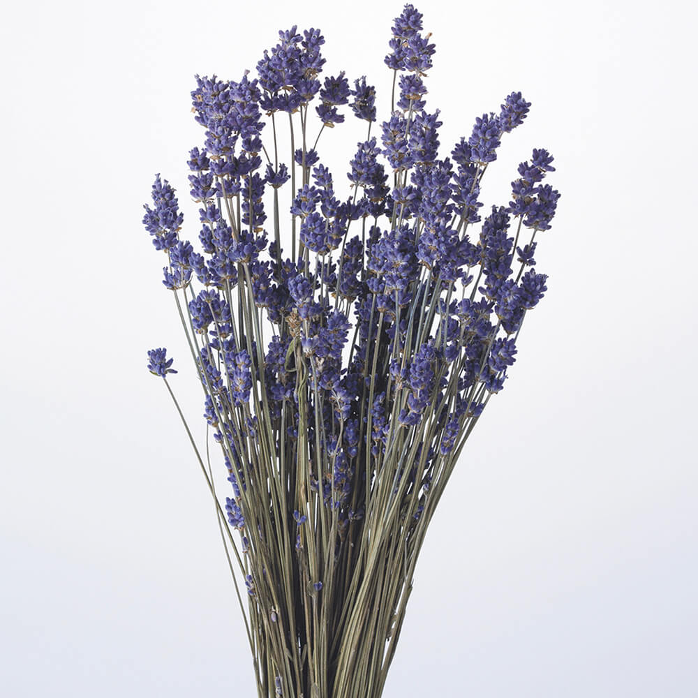 ��٥��������N��DRO10020-000�ڥɥ饤�ե���