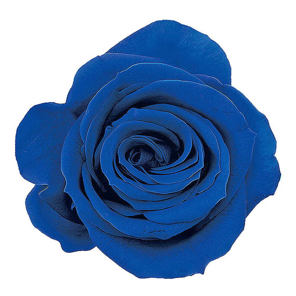 �������������ߡ�����ǥ����֥롼��9�ء��������ࡡDO003480-661�ڥץꥶ���֥ɥե���