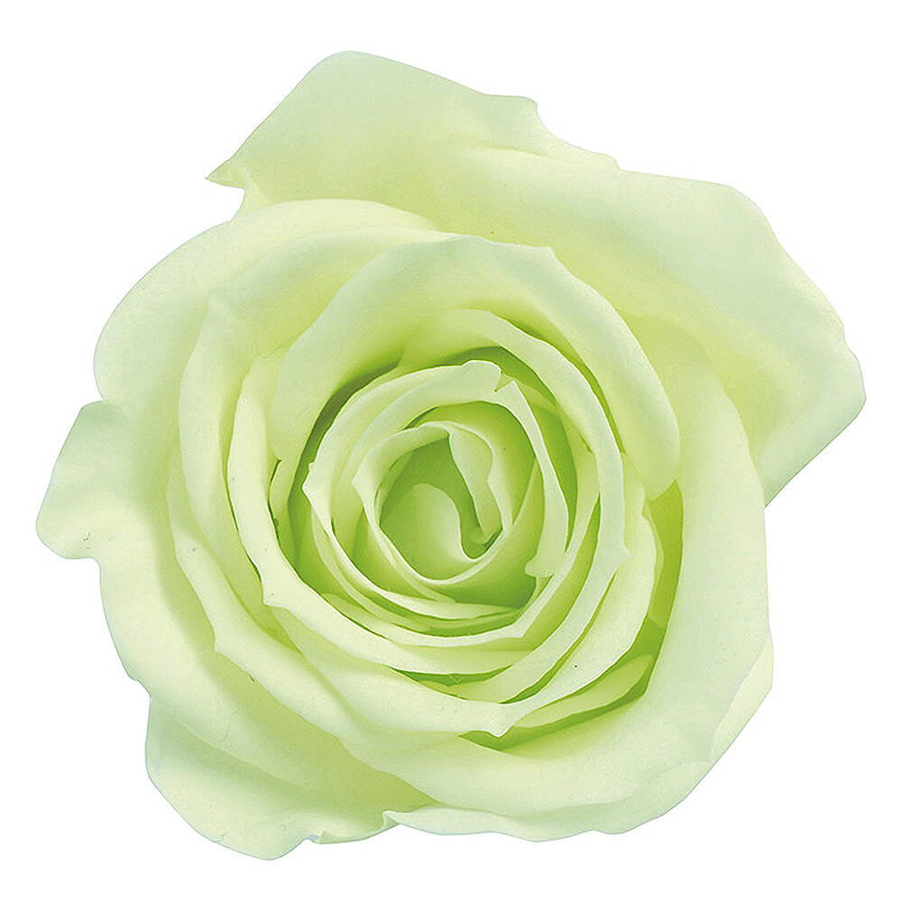 �������������ߡ��ե�å��奰�꡼��9�ء��������ࡡDO003480-701�ڥץꥶ���֥ɥե���