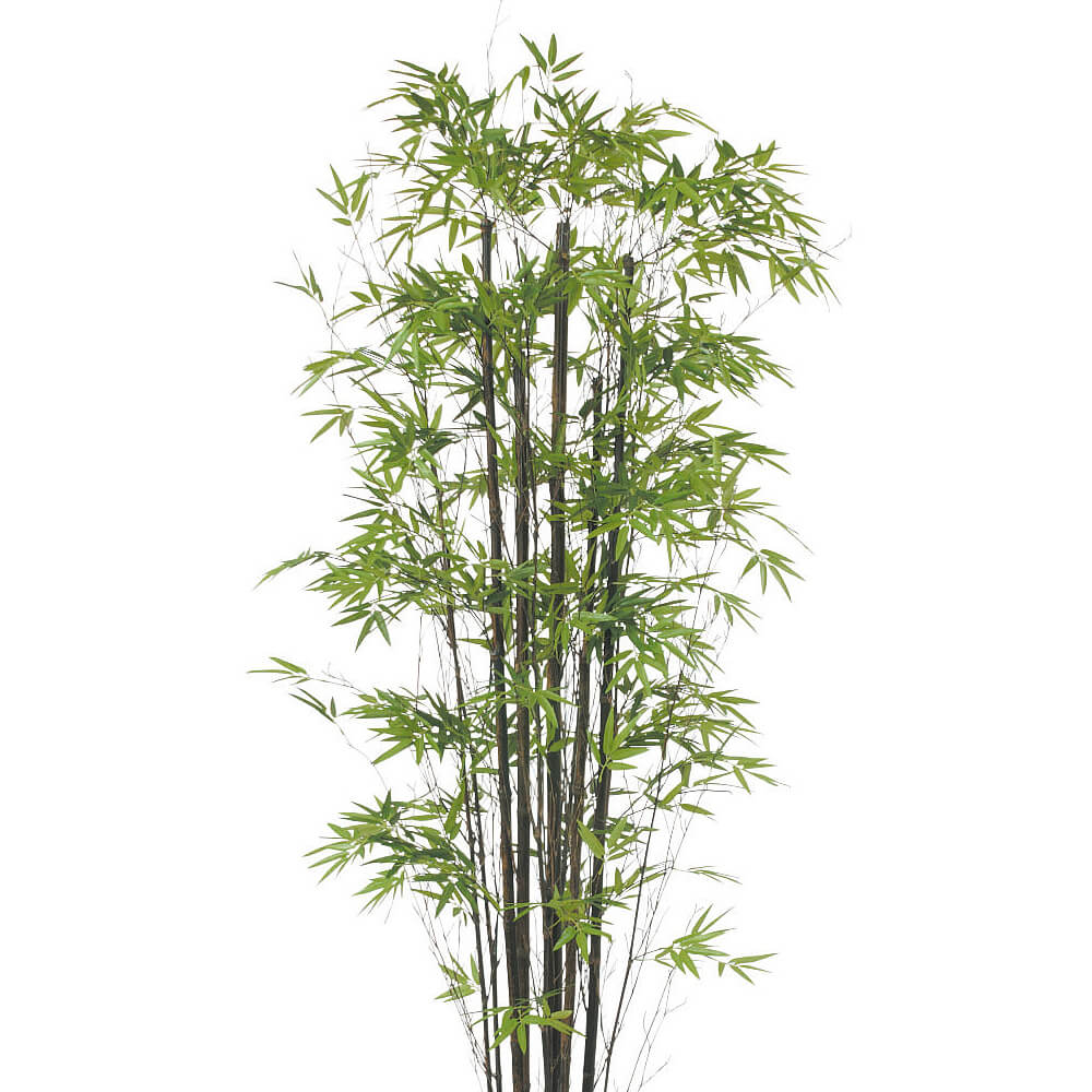 黒竹 H1500【アーティフィシャル】通販｜GREEN PIECE