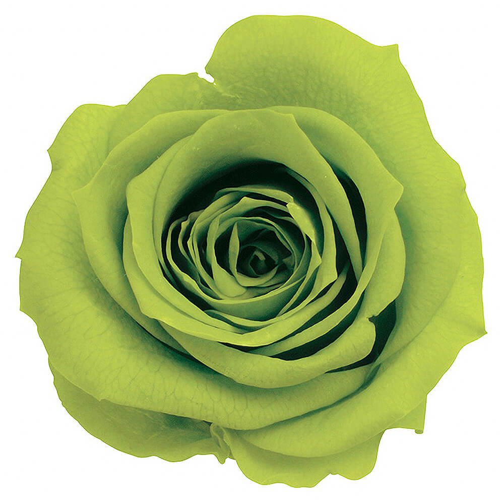 �������������ߡ��饤�ȥ��꡼��9�ء��������ࡡDO003480-721�ڥץꥶ���֥ɥե���