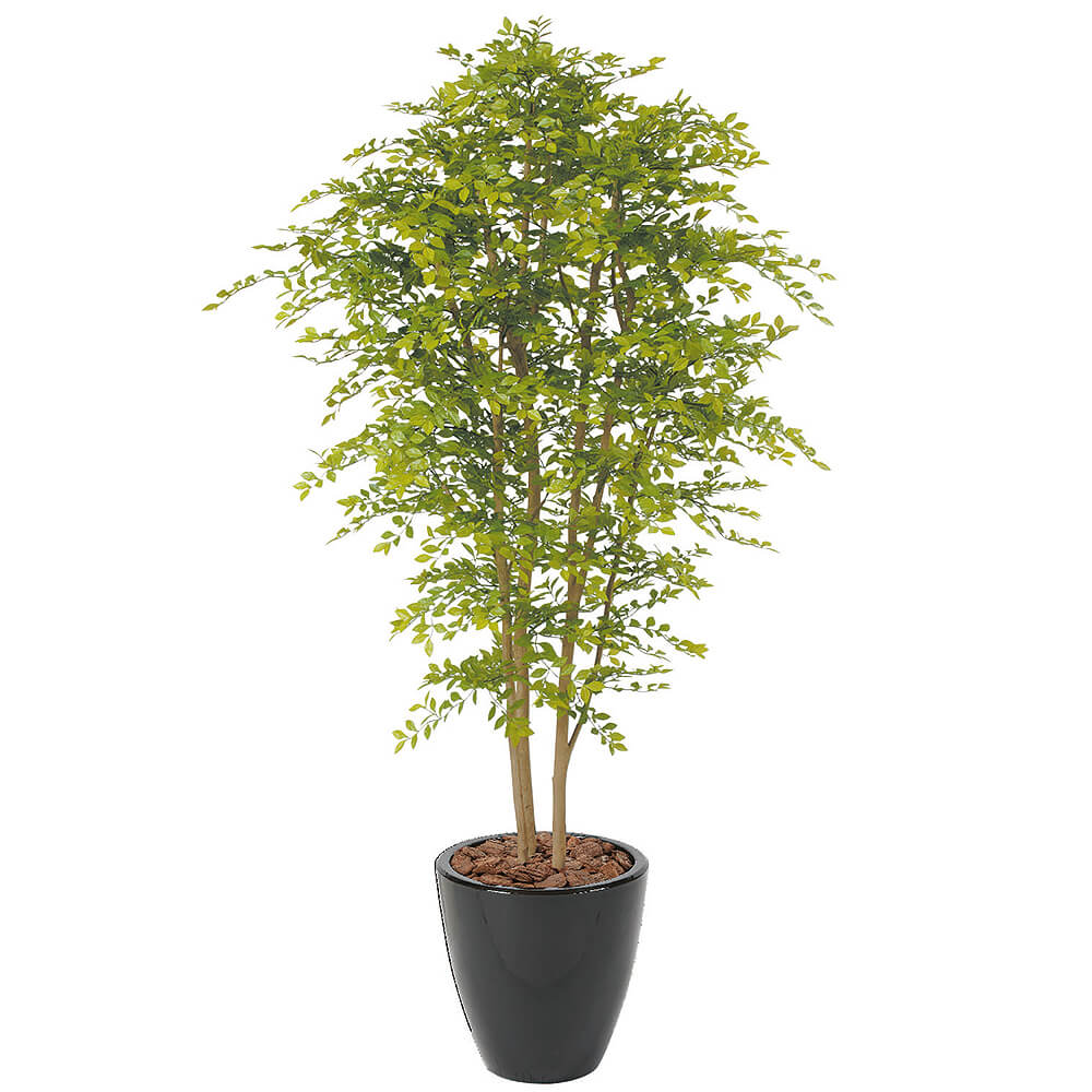 ������ǥ�꡼�ա�H1800�ڥ����ƥ��ե�������