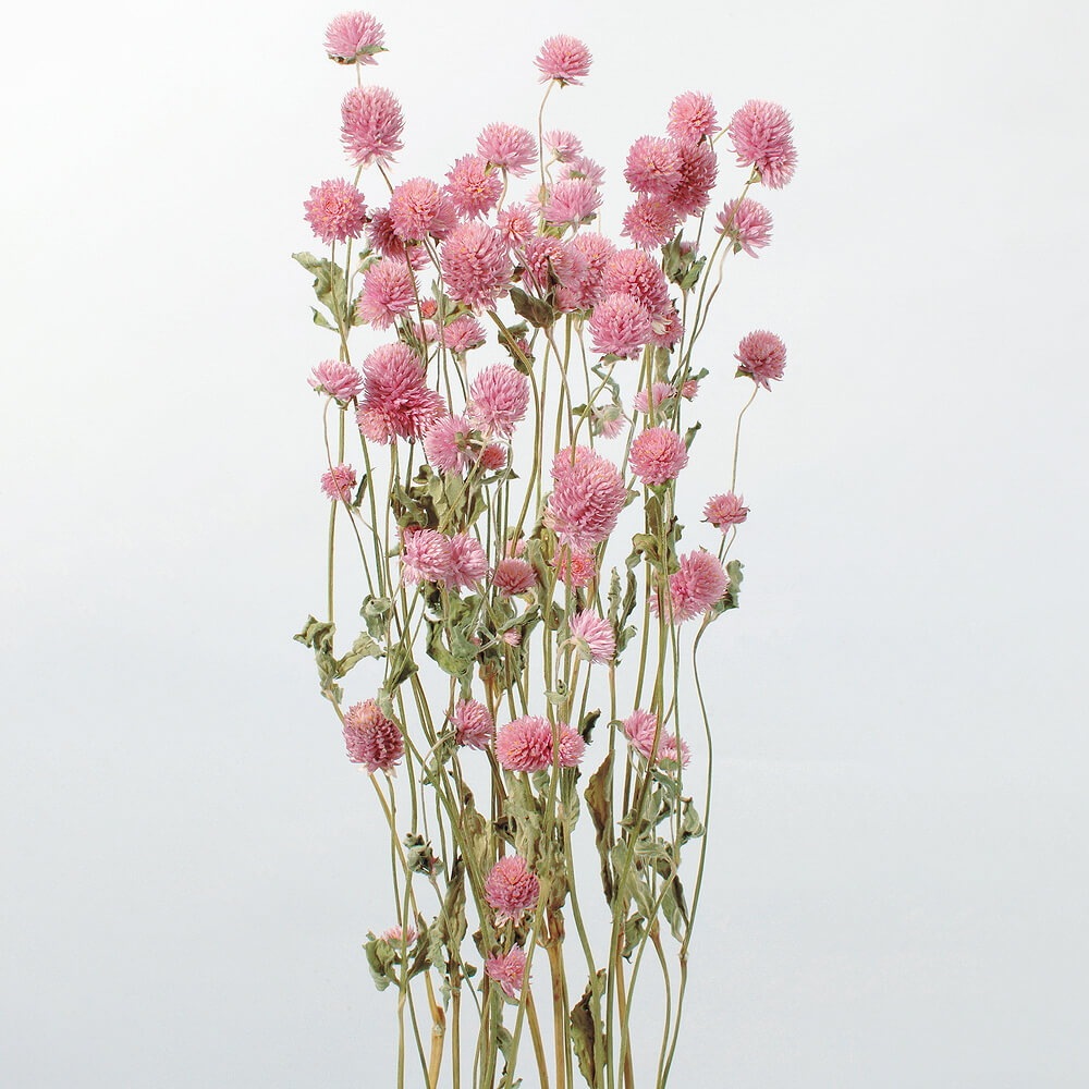 ȥԥ󥯡DRO10120-100ڥɥ饤ե