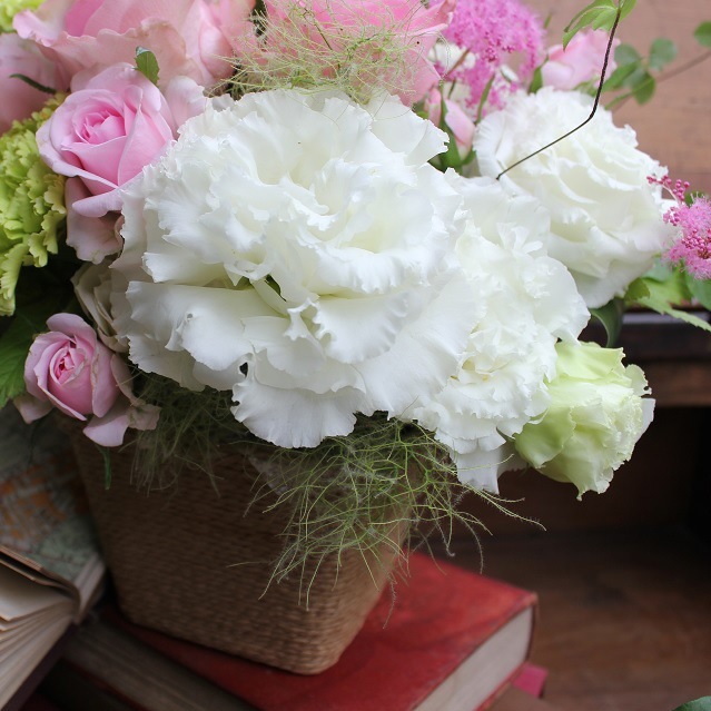 ���顼����󥸥��ȡ�Pinkish L�����֡�